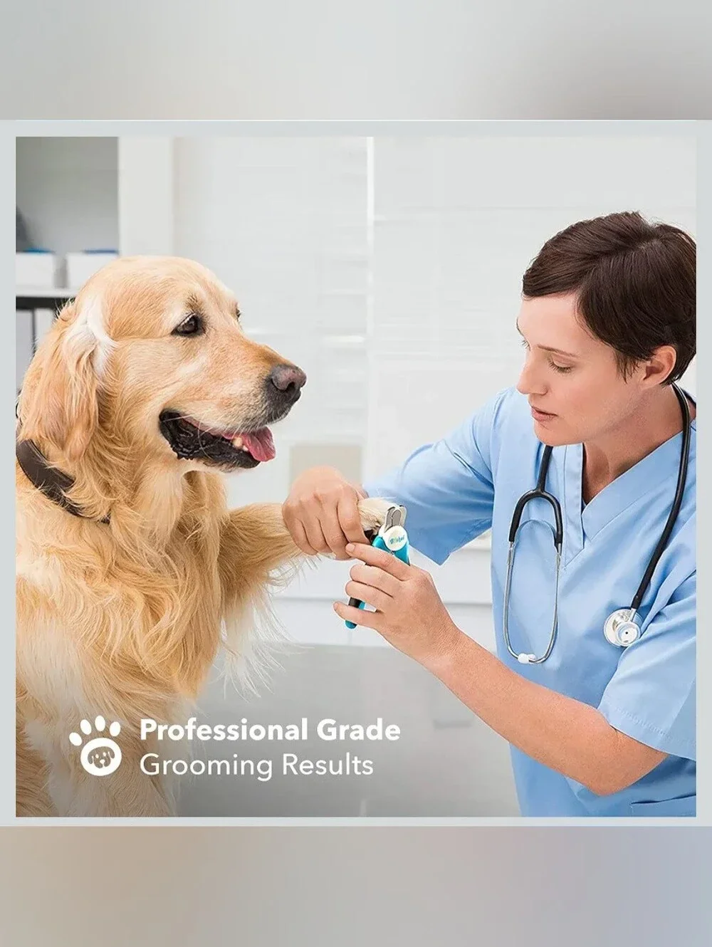 Boshel Professional Dog Nail Clippers with Safety Guard